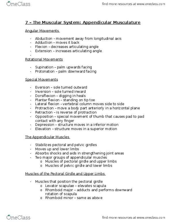 BIOB33H3 Lecture Notes - Lecture 7: Pronator Teres Muscle, Triceps Brachii Muscle, Shoulder Girdle thumbnail