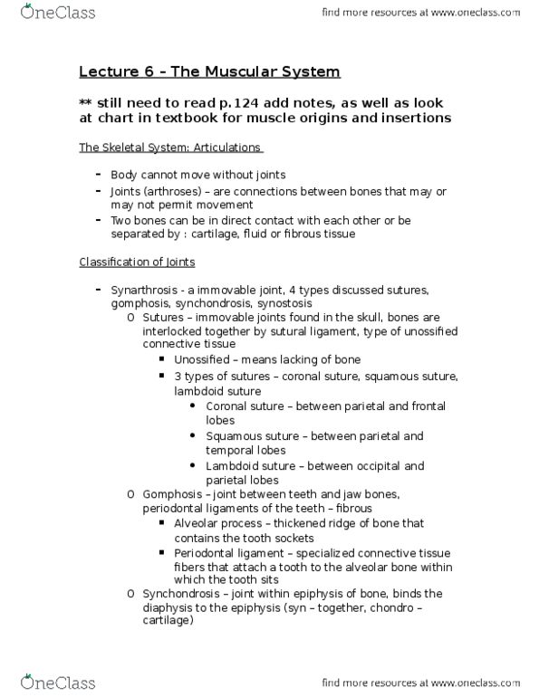 BIOB33H3 Lecture Notes - Lecture 6: Lambdoid Suture, Coronal Suture, Periodontal Fiber thumbnail