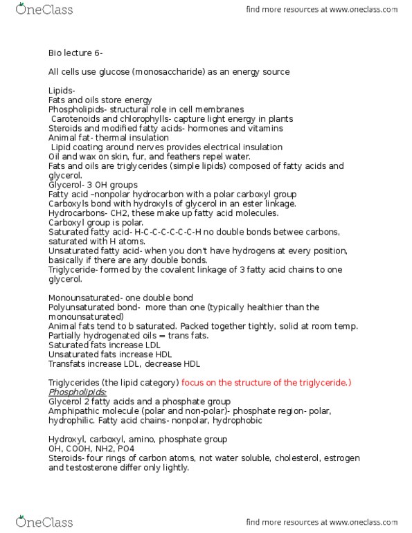 BIOLOGY 151 Lecture Notes - Lecture 6: Animal Fat, Monounsaturated Fat, Glycerol thumbnail