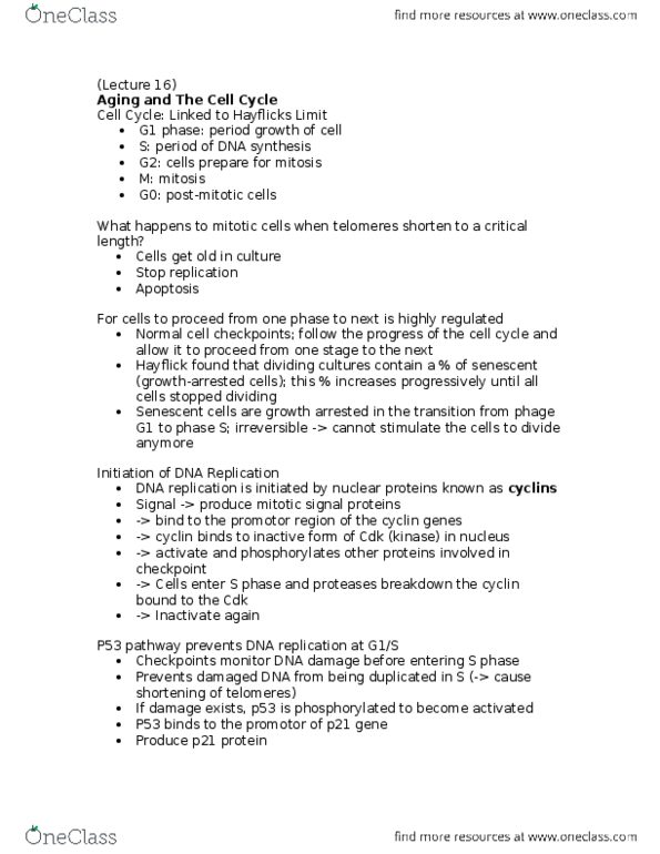 BIOL355 Lecture Notes - Lecture 16: G1 Phase, Dna Replication, P21 thumbnail