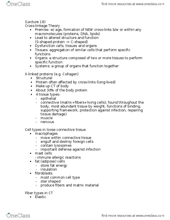 BIOL355 Lecture Notes - Lecture 18: Loose Connective Tissue, Arterial Stiffness, Ultimate Tensile Strength thumbnail