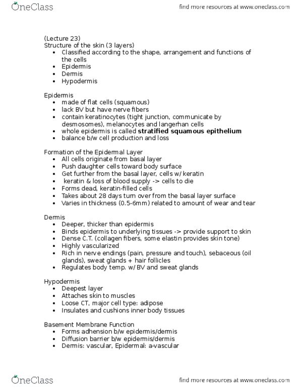 BIOL355 Lecture Notes - Lecture 23: Stratified Squamous Epithelium, Hair, Dermis thumbnail