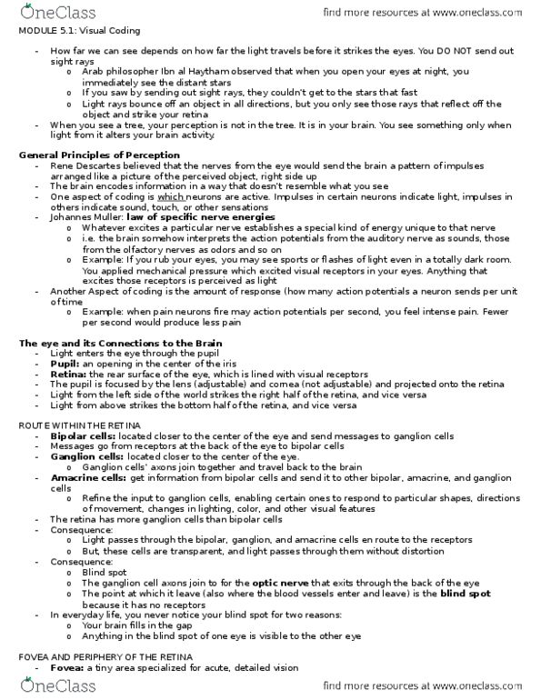 PSYCH261 Chapter Notes - Chapter 5: Foveal, Peripheral Vision, Afterimage thumbnail