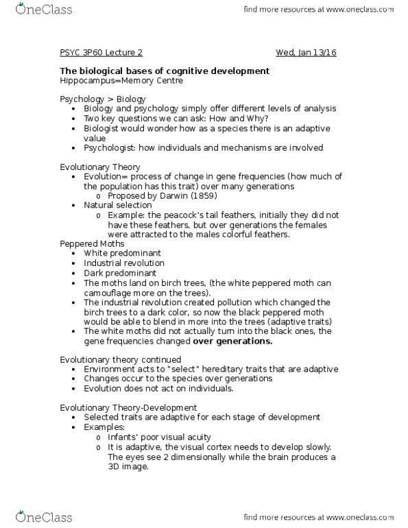 PSYC 3P60 Lecture Notes - Lecture 3: Functional Magnetic Resonance Imaging, Neurogenesis, Phenotype thumbnail