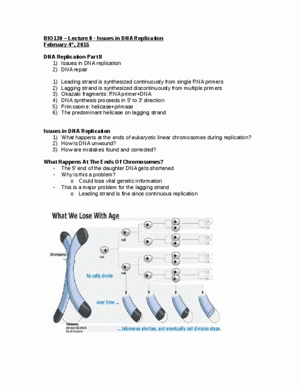 BIO130H1 Lecture Notes - Lecture 8: Okazaki Fragments, Chromosome, Telomerase Rna Component thumbnail
