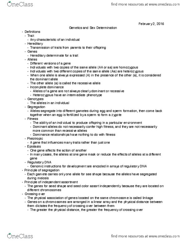 BIOLOGY 101 Lecture Notes - Lecture 8: Pattern Hair Loss, Meiosis, Spermatogenesis thumbnail