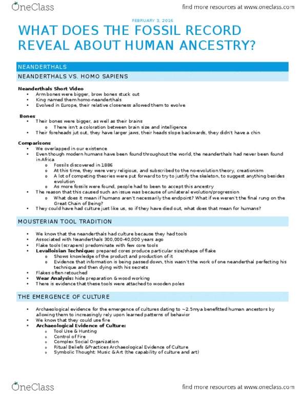 ANTHR101 Lecture Notes - Lecture 11: Fossil, Mousterian, Caving thumbnail