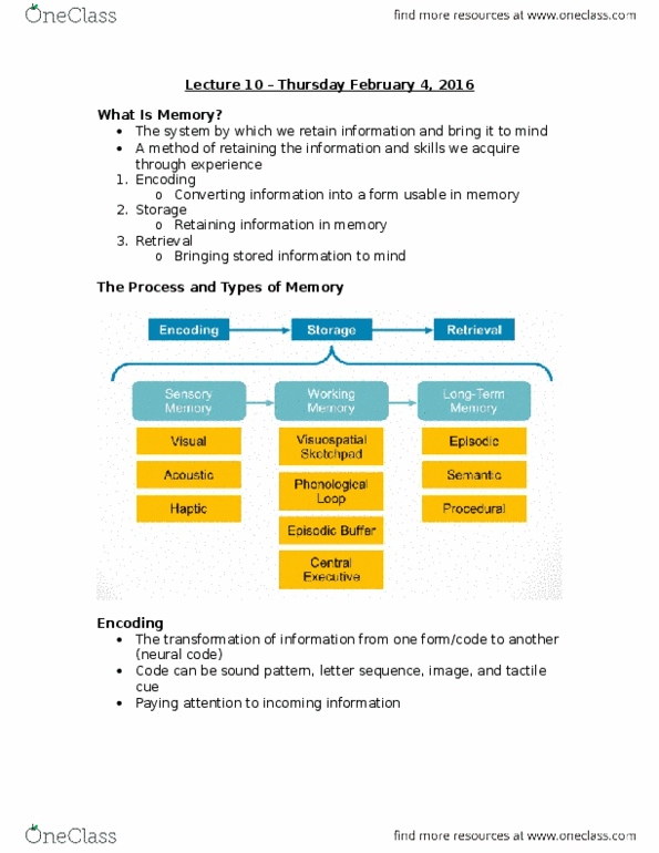 PS102 Lecture Notes - Lecture 10: Autobiographical Memory, Memory Span, Long-Term Memory thumbnail