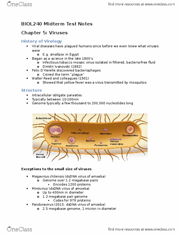 BIOL240 Lecture Notes - Lecture 1: Picornavirus, Smallpox, Oncolytic Virus thumbnail