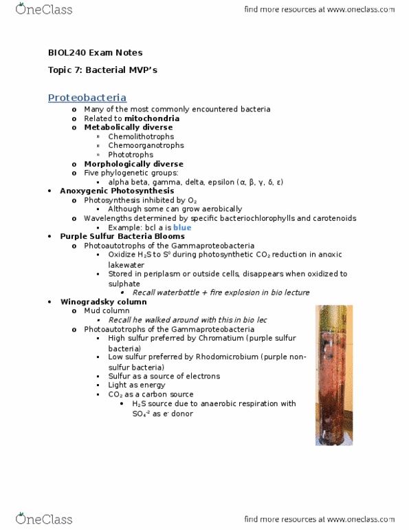 BIOL240 Lecture Notes - Lecture 1: Alphaproteobacteria, Nitrobacter, Purple Sulfur Bacteria thumbnail