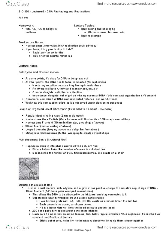 BIO130H1 Lecture Notes - Lecture 6: Semiconservative Replication, Okazaki Fragments, 40 Minutes thumbnail