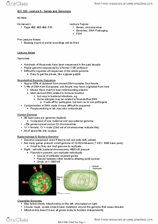 BIO130H1 Lecture Notes - Lecture 5: Jigsaw Puzzle, Mt-Nd6, Human Genome thumbnail