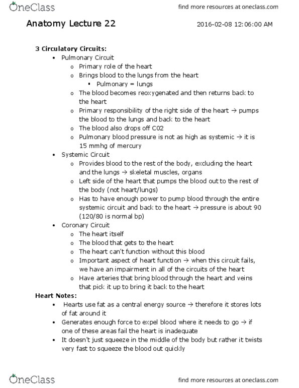 Kinesiology 2222A/B Lecture Notes - Lecture 22: Inferior Vena Cava, Heart Valve, Pulmonary Valve thumbnail