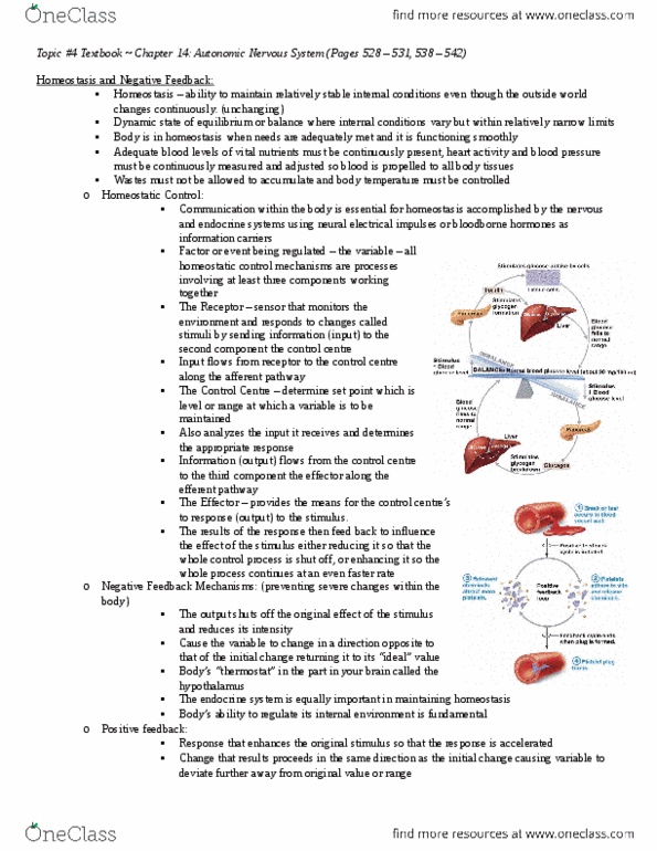 ANP 1106 Chapter Notes - Chapter all: Blood Cell, Positive Feedback, European Route E80 thumbnail