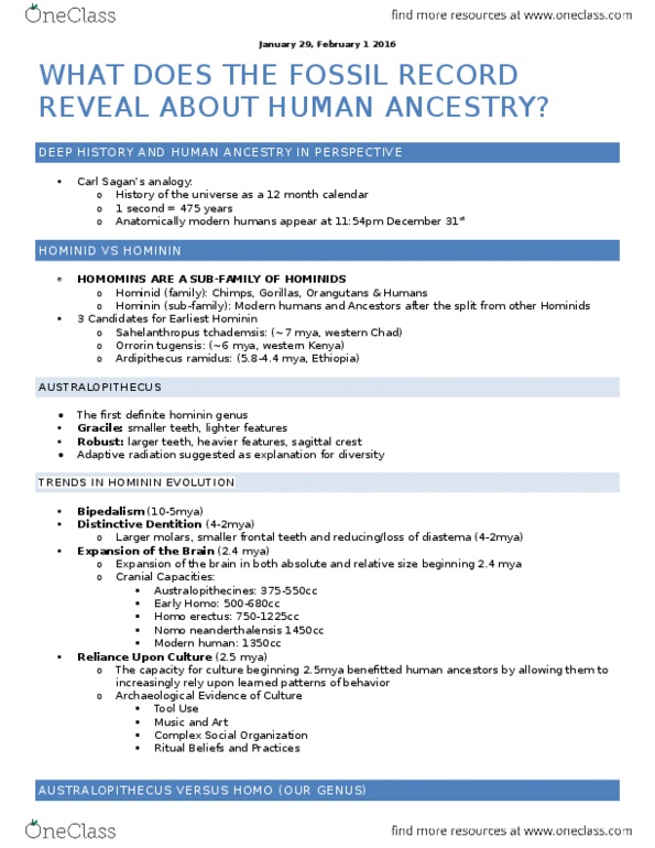 ANTHR101 Lecture Notes - Lecture 9: Australopithecine, Sagittal Crest, Oldowan thumbnail