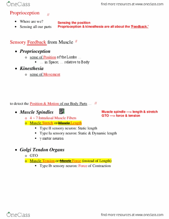 KINE 3020 Lecture Notes - Lecture 4: Motor Neuron, Alpha Motor Neuron, Mechanoreceptor thumbnail