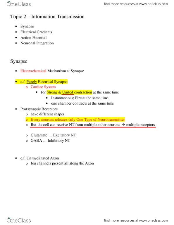 KINE 3020 Lecture Notes - Lecture 2: Reuptake, Mediacorp Channel 8, Potassium Channel thumbnail