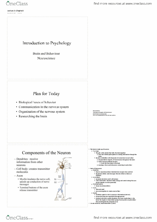 PSY100Y5 Lecture Notes - Lecture 3: Parietal Lobe, Hypothalamus, Axon thumbnail