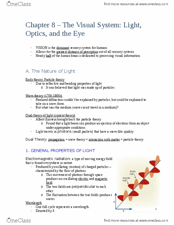 PSYC 212 Chapter 8-13: Perception notes 2nd half of course: Chapter 8 and on thumbnail