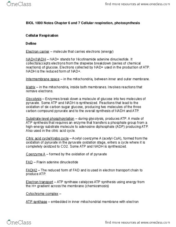 BIOL 1000 Chapter Notes - Chapter 6: Pyruvate Dehydrogenase Complex, Atp Synthase, Cellular Respiration thumbnail