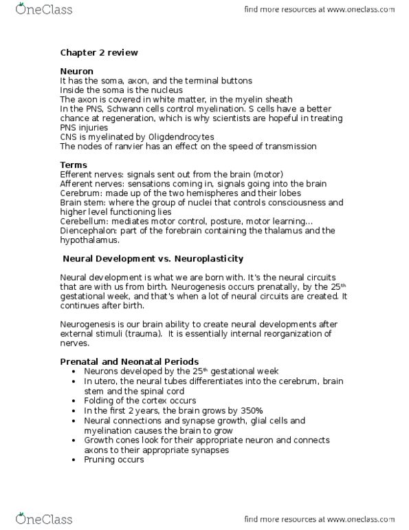 ALDS 3604 Lecture Notes - Lecture 2: Myelin, Neural Development, Schwann Cell thumbnail