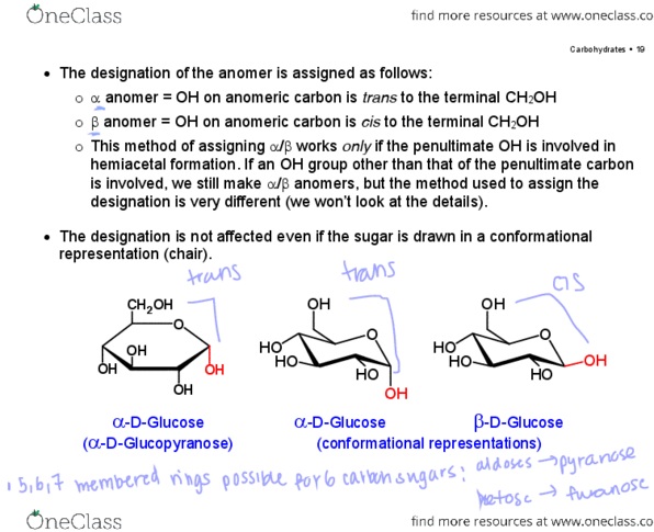 Chemistry 2223B Lecture Notes - Lecture 5: Anomer, Glucoside, Mutarotation thumbnail