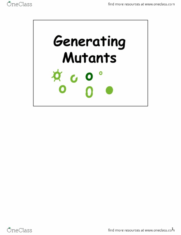 Biology 2581B Lecture 7: Lecture 11: generating mutants PPT + NOTES thumbnail