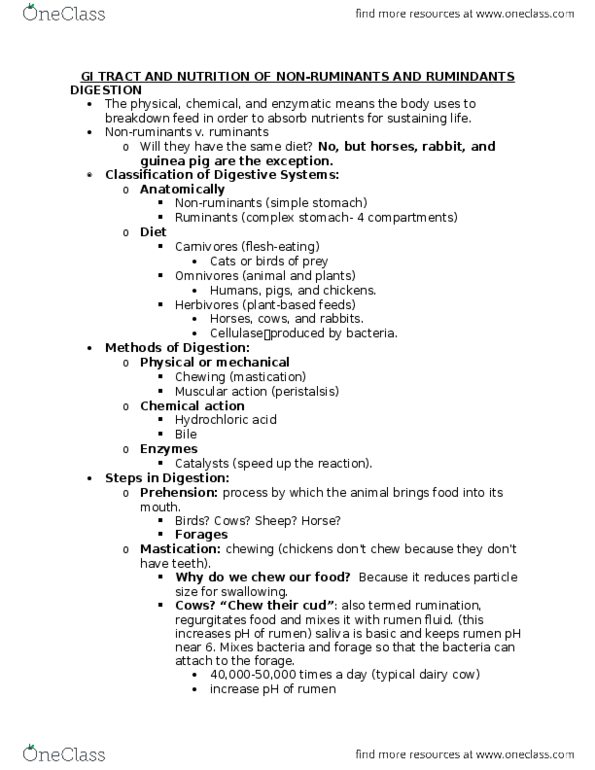 ANSC 1011 Lecture Notes - Lecture 3: Vitamin, Dairy Cattle, Rumen thumbnail