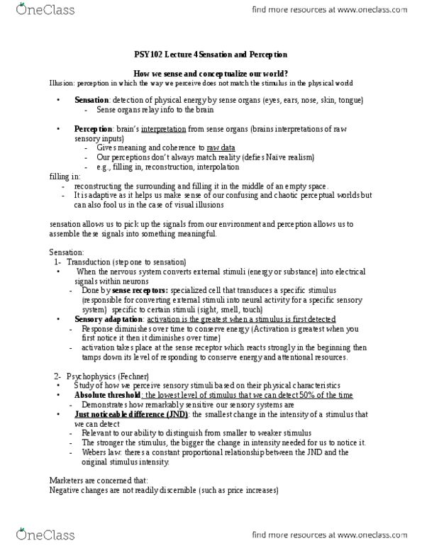 PSY 102 Chapter 4: PSY102 Chap 4 Lec 4 Sensation and Perception thumbnail