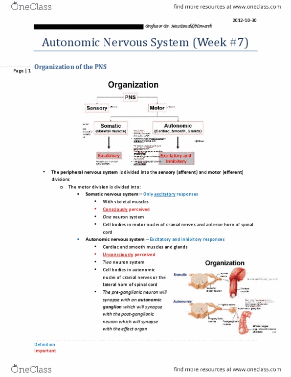 KINESIOL 1A03 Lecture Notes - Lecture 7: Dorsal Root Ganglion, Sympathetic Ganglion, Autonomic Ganglion thumbnail