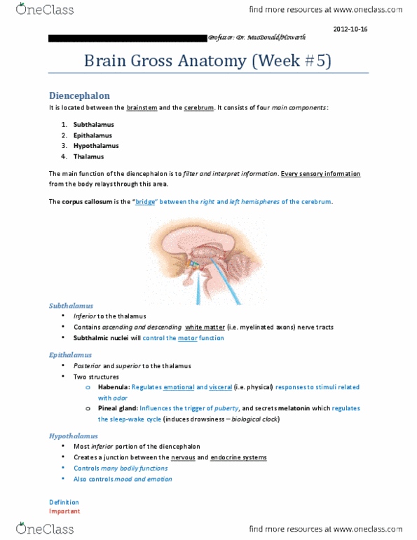 KINESIOL 1A03 Lecture 5: (Week #5) Brain Gross Anatomy thumbnail