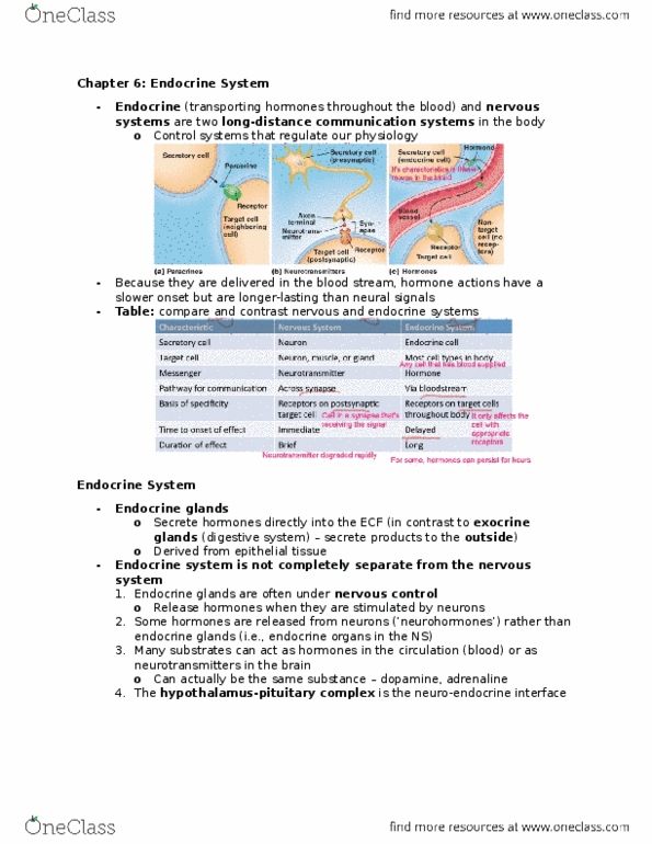 BIOLOGY 2A03 Chapter Notes - Chapter 6: Secretion, Anterior Pituitary, Thyroid thumbnail