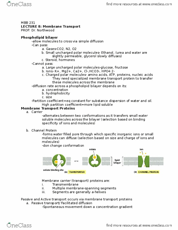 MBB 231 Lecture Notes - Lecture 8: Pearson Education, Carbonic Anhydrase, Membrane Transport Protein thumbnail