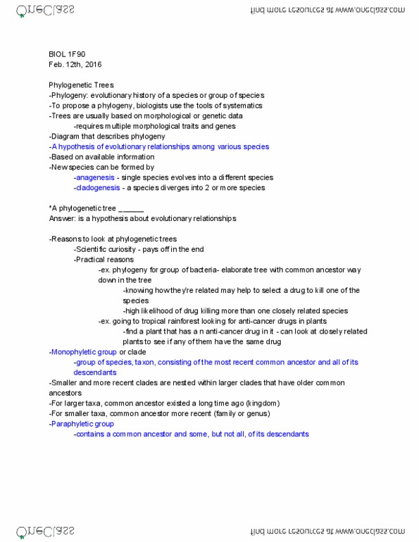 BIOL 1F90 Lecture Notes - Lecture 17: Paraphyly, Polyphyly, Monophyly thumbnail