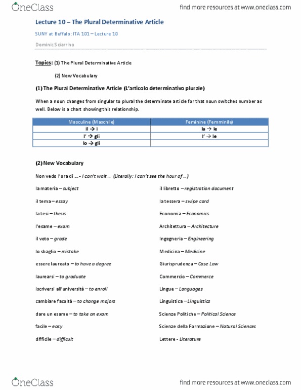 ITA 101 Lecture 10: The Plural Determinative Article thumbnail