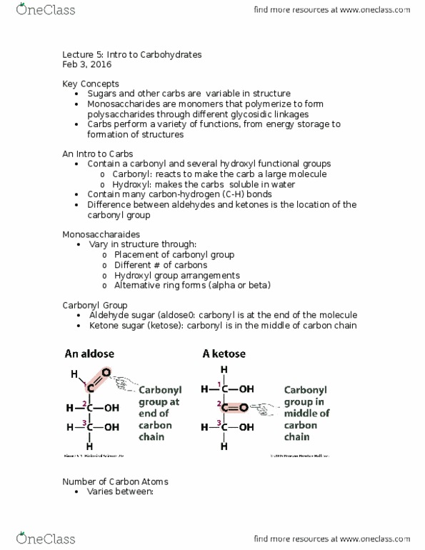 BIOL2000 Lecture Notes - Lecture 5: Prentice Hall, Carbonyl Group, Alpha Helix thumbnail