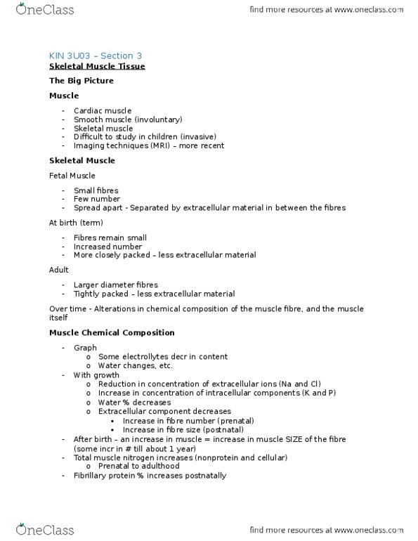 KINESIOL 3U03 Lecture Notes - Lecture 3: Skeletal Muscle, Myocyte, Myogenesis thumbnail