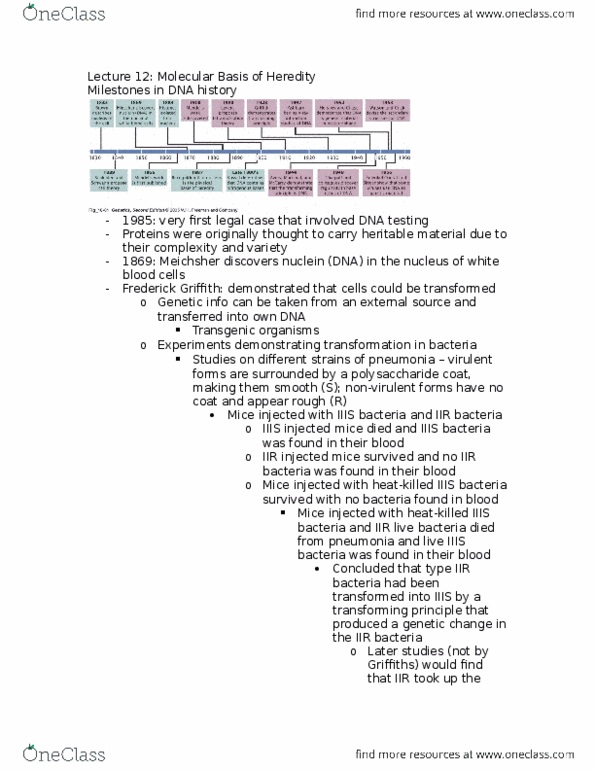 BIOL 2030 Lecture Notes - Lecture 13: Frederick Griffith, Nitrogenous Base, Heredity thumbnail