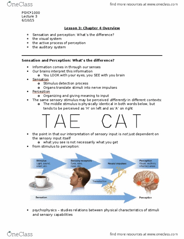 PSYC 1000 Lecture Notes - Lecture 3: Optic Nerve, Auditory Cortex, Visual Cortex thumbnail