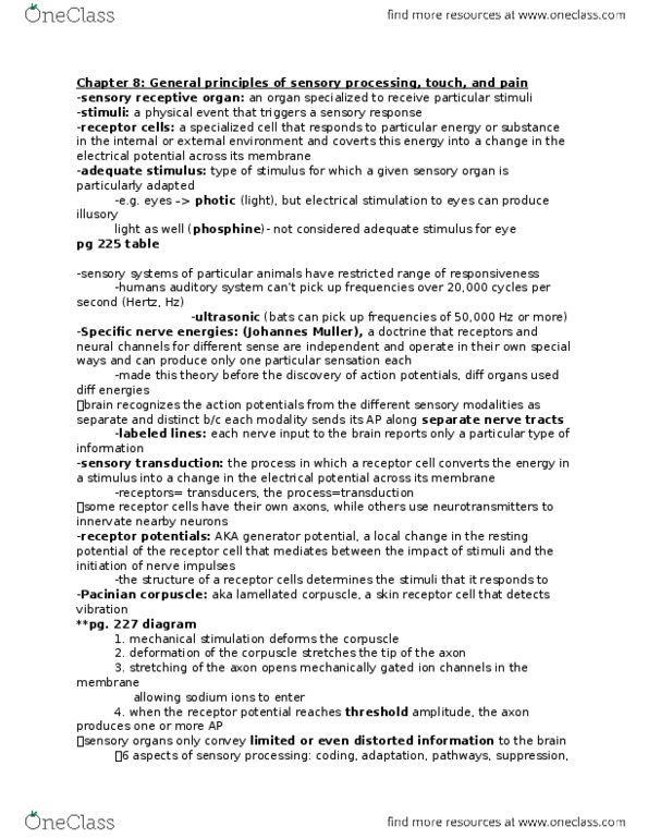 PSYC 280 Chapter Notes - Chapter 8-10: Superior Olivary Complex, Postcentral Gyrus, Vestibular Nuclei thumbnail