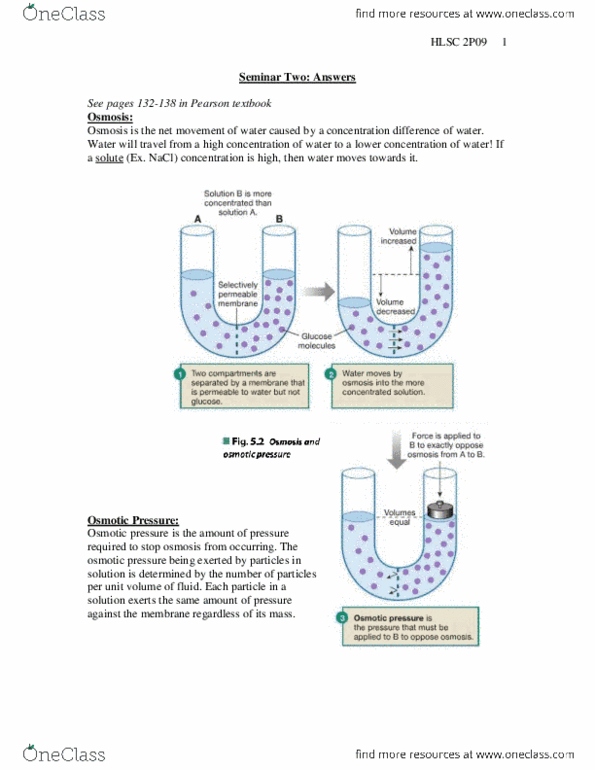 BIOL 2P98 Lecture Notes - Lecture 19: Osmotic Pressure, Molality, Osmosis thumbnail