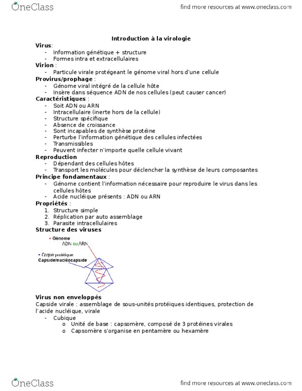 HSS 1500 Lecture Notes - Lecture 9: Paramyxoviridae, Poliovirus, Dune thumbnail