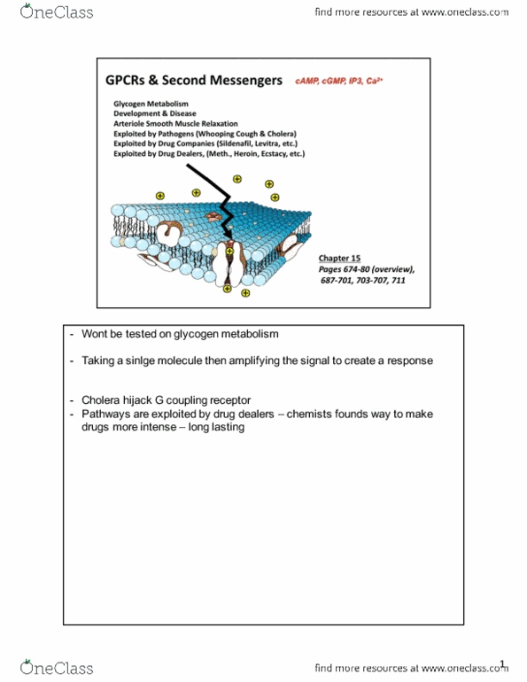 Biology 2382B Lecture 8: GCPRs GREG KELLY thumbnail