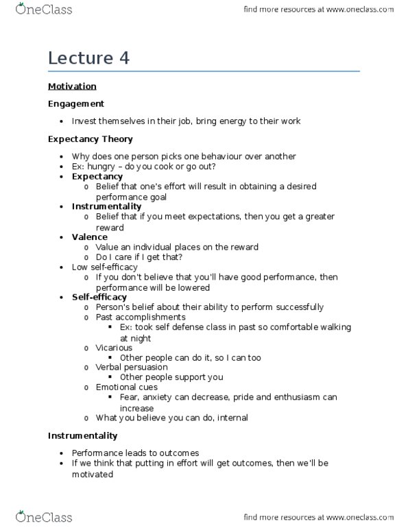 Management and Organizational Studies 2181A/B Lecture Notes - Lecture 4: Expectancy Theory, Job Performance, Equity Theory thumbnail