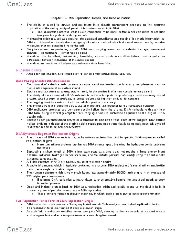 BIO206H5 Chapter Notes - Chapter 6: Dna Polymerase, Dna Replication, Okazaki Fragments thumbnail