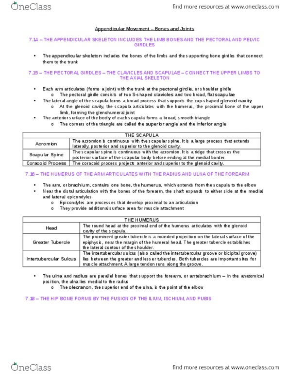 BIO210Y5 Chapter Notes - Chapter 8: Shoulder Girdle, Bicipital Groove, Spine Of Scapula thumbnail