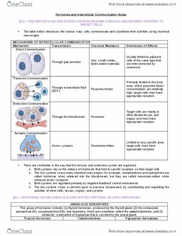 BIO210Y5 Chapter Notes - Chapter 16: Thyroid, Adrenal Gland, Pineal Gland thumbnail