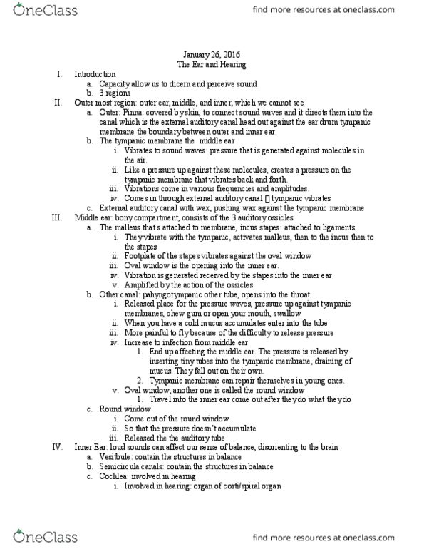 BIOL 1320 Lecture Notes - Lecture 2: Ear Canal, Eardrum, Basilar Membrane thumbnail