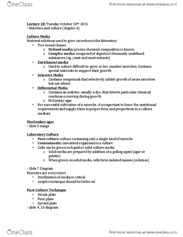 BI276 Lecture Notes - Lecture 10: Exponential Growth, Microbiological Culture, Ftsz thumbnail