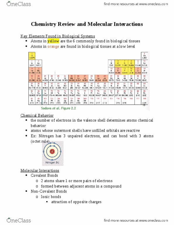 Biology And Biomedical Sciences BIOL 2960 Lecture Notes - Lecture 4: Covalent Bond, Octet Rule, Bond Energy thumbnail